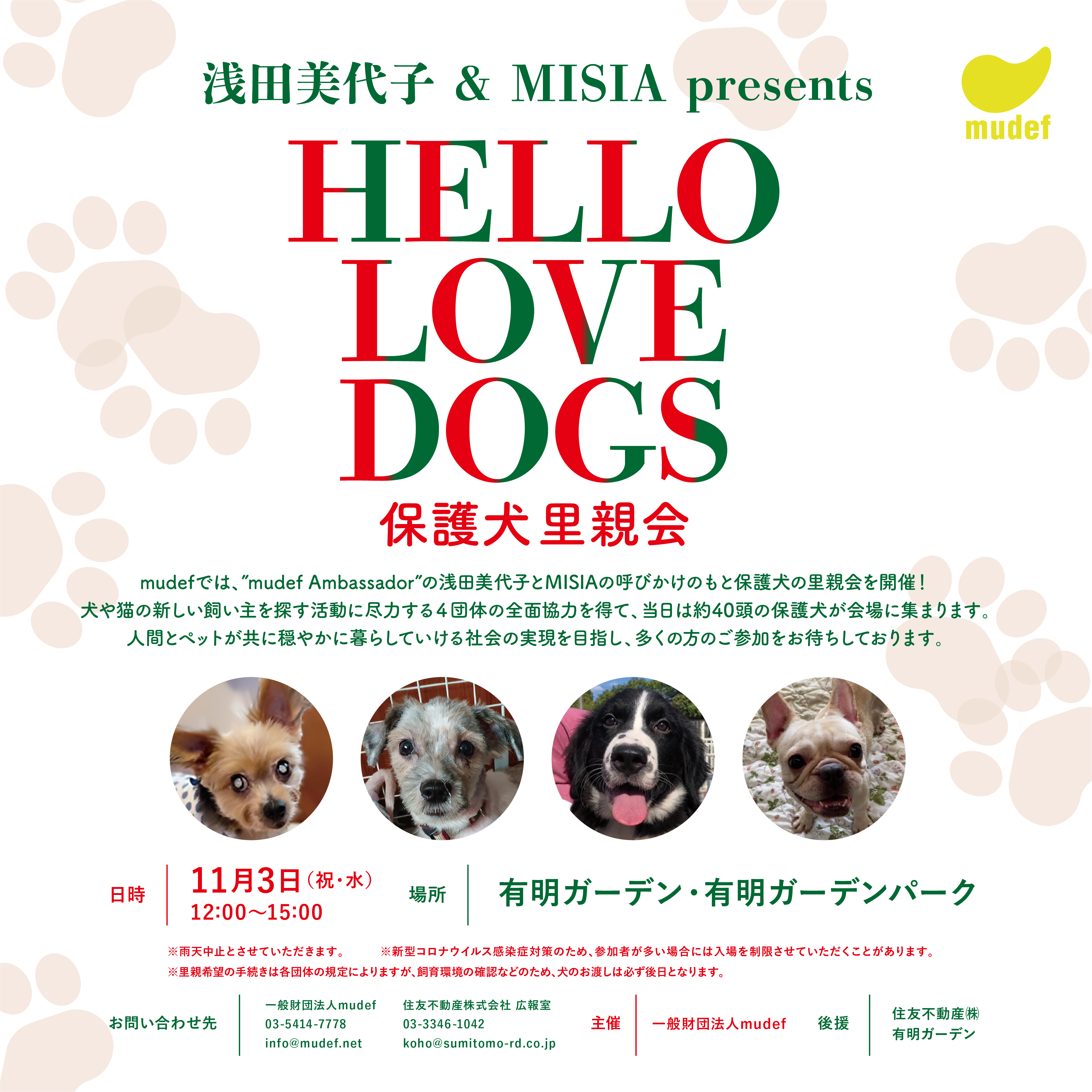 HELLO LOVE DOGS